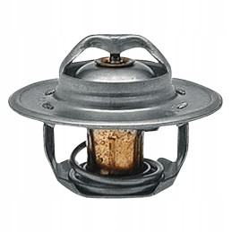 Termostatas 82 c ford 54mm 74717039 granitas
