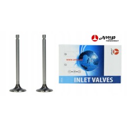 Išmetimo galvutės lizdas c 330 50106310 gamintojas