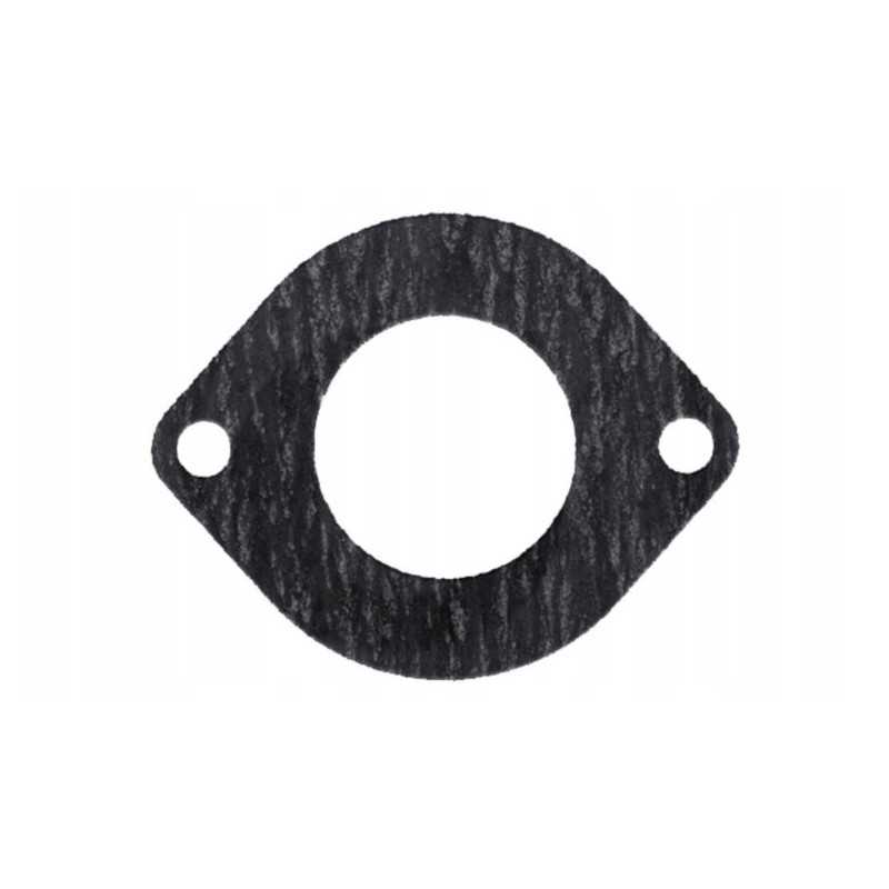 Termostato tarpiklis massey ferguson 3641766m1