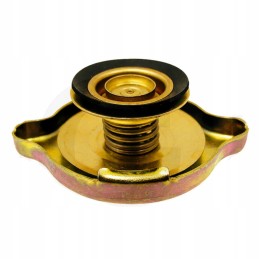 Radiatoriaus dangtelis ford 87712918 81747955