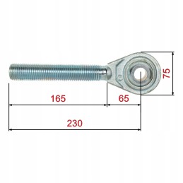 Srieginis kaištis su galvute M30x3 5 fi 22 25mm