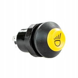 Deutz Fahr darbo šviesos jungiklis 01177165