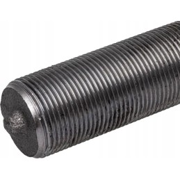 Vairo traukės galas