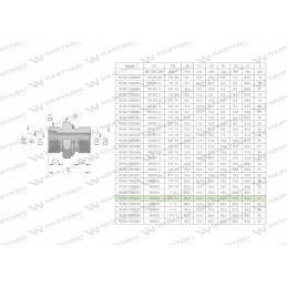 Hidraulinė jungtis bb xge m36x2 28l2 28l x