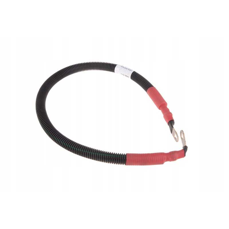 4290769m1 starterio elektros laidas