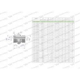Hidraulinė jungtis bb xge m12x1 5 06l x 1 8