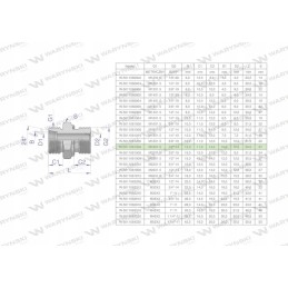 Hidraulinė jungtis bb xge m18x1 5 12l x 1 2