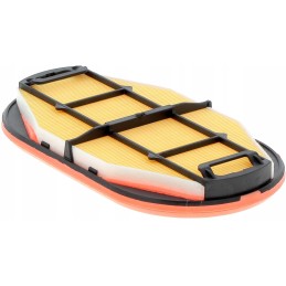 Oro filtro įdėklas Belarus 2022 5 Ursus C385