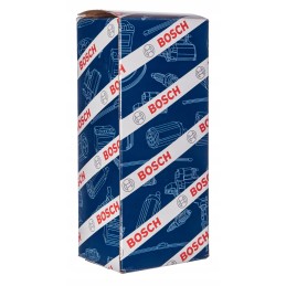 Bosch jutiklis 2503341982101