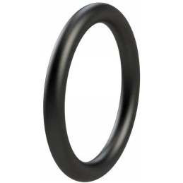 Sandarinimo žiedas O žiedas 8x1 8mm Viton Kram
