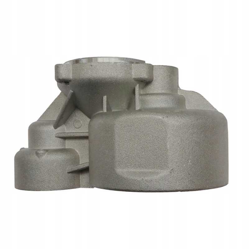 Magneton C 385 starterio pavaros korpusas