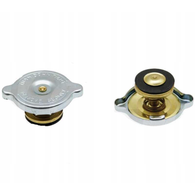 Radiatoriaus dangtelio korpusas a170241