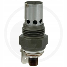 Massey Ferguson 422350m1 liepsnos žvakė