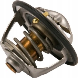 New Holland korpuso termostatas 84383461 2853135