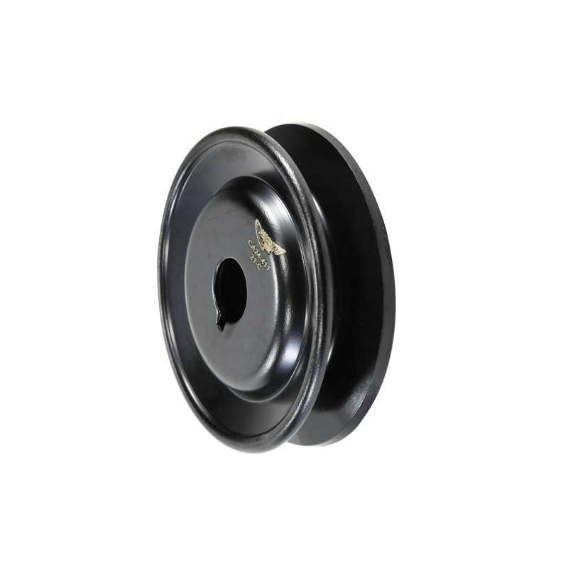 Generatoriaus skriemulys c 330 ex230210 magneto