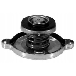 Radiatoriaus dangtelis