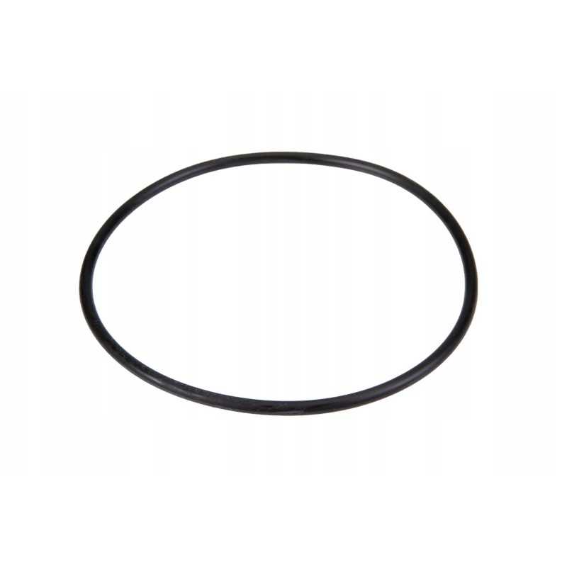 7700703884 O žiedo pakėlimo velenas 72 69 x 2 62 mm