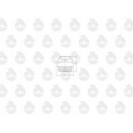 Silfono termostatas c 330 originalus ursus