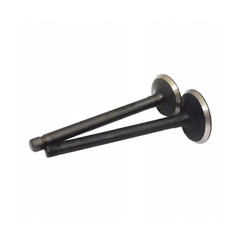 Kubota v2403 variklio vožtuvų komplektas, įsiurbimas ir atleidimas