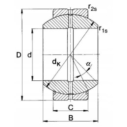 Sferinis guolis ge 25fo 2rs
