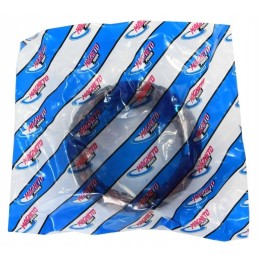 Generatoriaus statorius ursus c 330 ax230005ex magneto