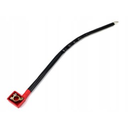 Įžeminimo kabelio apkabos kilpa m10 dl 70 cm 50mm2 expo