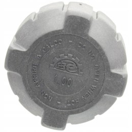 Radiatoriaus gaubtas 74715844 granitas