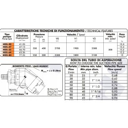 Binotto MDS80 P Hydra kelių stūmoklių kampinis siurblys