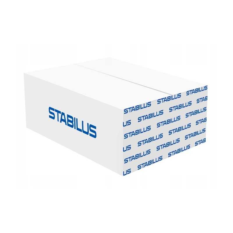 Dujinė spyruoklė bagažinės dangčiui stabilus 016994
