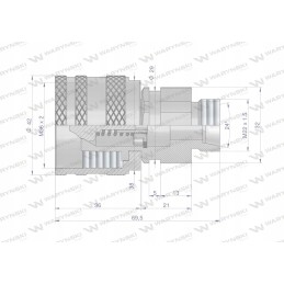Prisukama greitoji hidraulinė jungtis, M22x1 kištukas 5