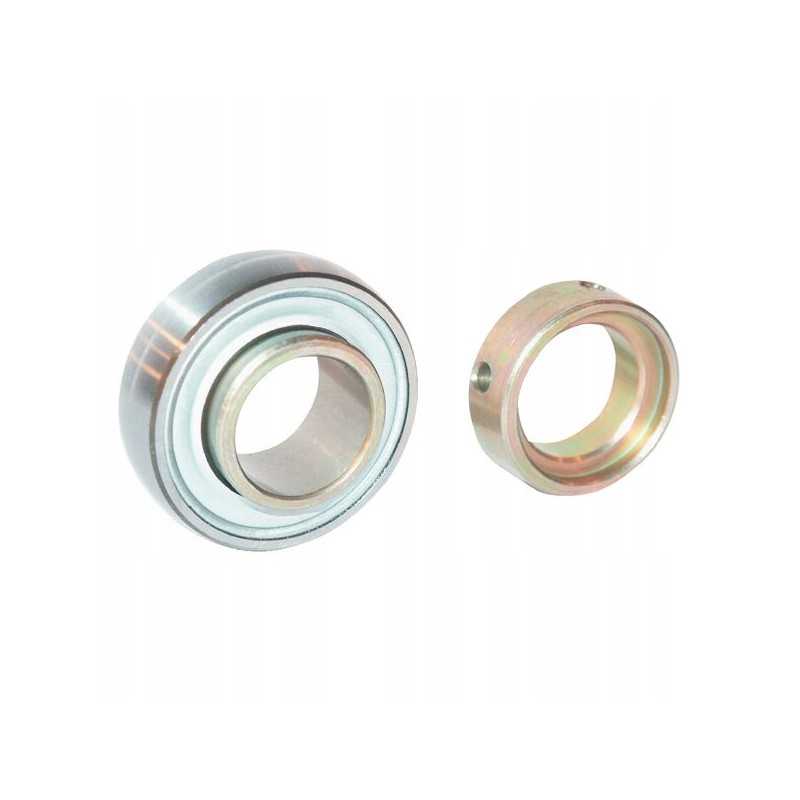 Guolių rae 30 nppb ina