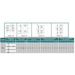 Rapr DN20 aptarnavimo vamzdžių tvirtinimo laikiklis