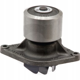 McCormick 3689073m1 vandens siurblys