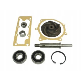 Massey 3641379M91 vandens siurblio remonto komplektas