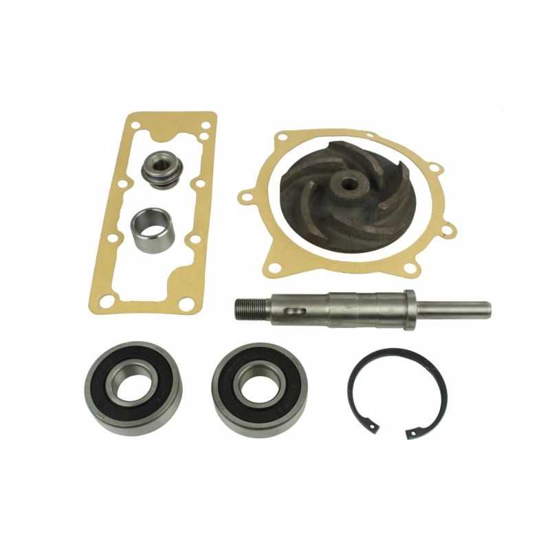 Massey 3641379M91 vandens siurblio remonto komplektas