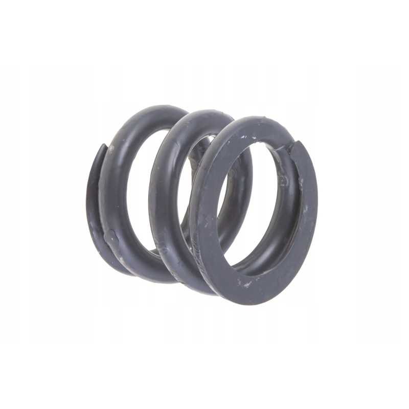 03200601 pavaros sujungimo mechanizmo spyruoklė