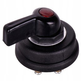 Posūkio signalo indikatoriaus jungiklis mf fv gw massey