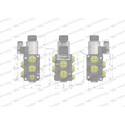 Skirstytuvo solenoidinis vožtuvas dvs 6 2 50l 24v Warynski