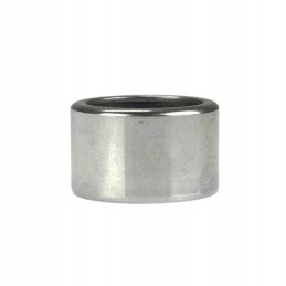 HK 2520 guolis