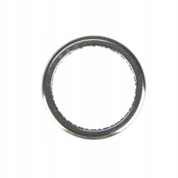 HK 2520 guolis