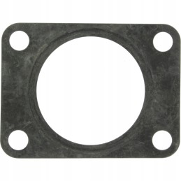 Duslintuvo tarpiklis tas pats 38010038 granitas