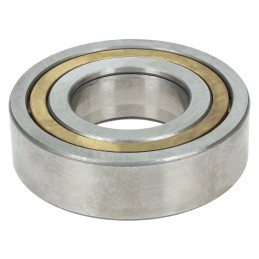 Pavaros variklio guolis cat 311c 312c 313d 314c