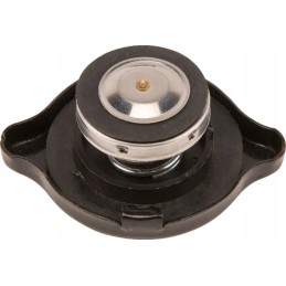 Radiatoriaus dangtelis 9966958n