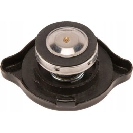 Radiatoriaus dangtelis 9966958n