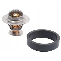 Case IH tarptautinis kombaino termostatas 476168