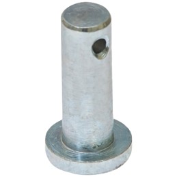 Įpurškimo siurblio strypo kaištis c 385 80009094