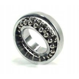 Guolis 2307 SKF 239126