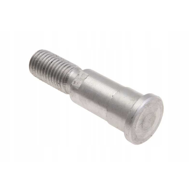 100309978 skriemulio kaištis m16