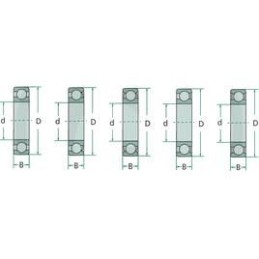 Fag rutulinis guolis paprastai 6305 2rs c3 fendt f1192