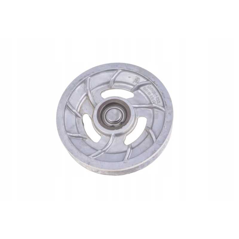 100014531 pilnas skriemulys